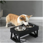 Elevated Slow-Feed Dog Bowl